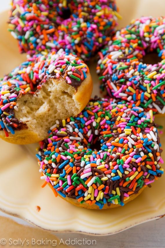 chocolate frosted donuts topped with sprinkles on a cream plate