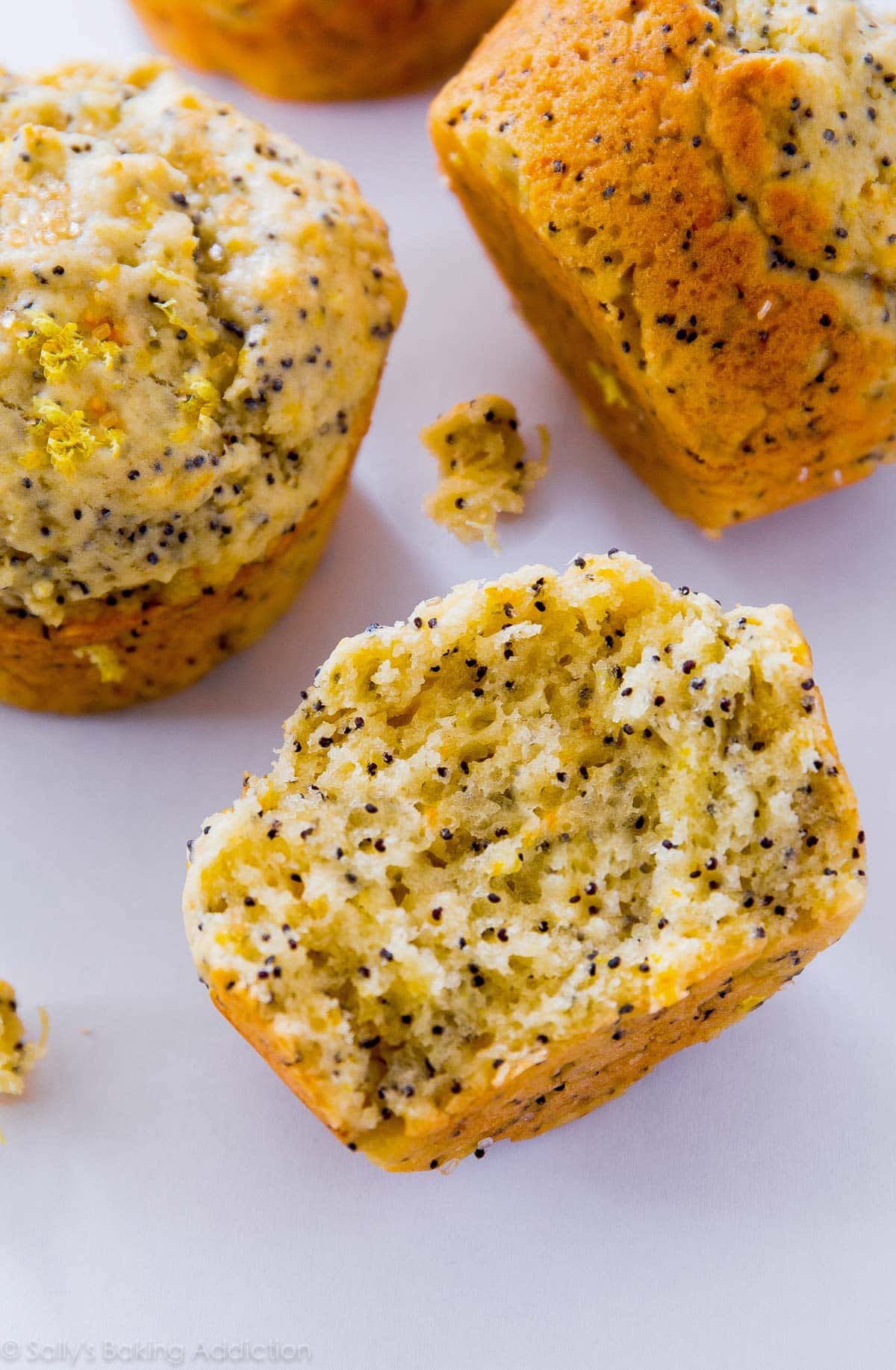 orange lemon poppy seed muffins