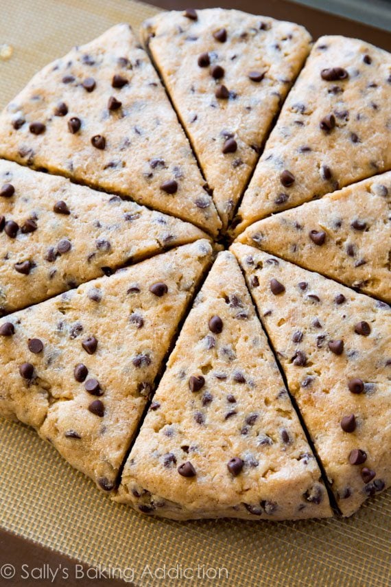 circle of chocolate chip scone dough cut into triangles