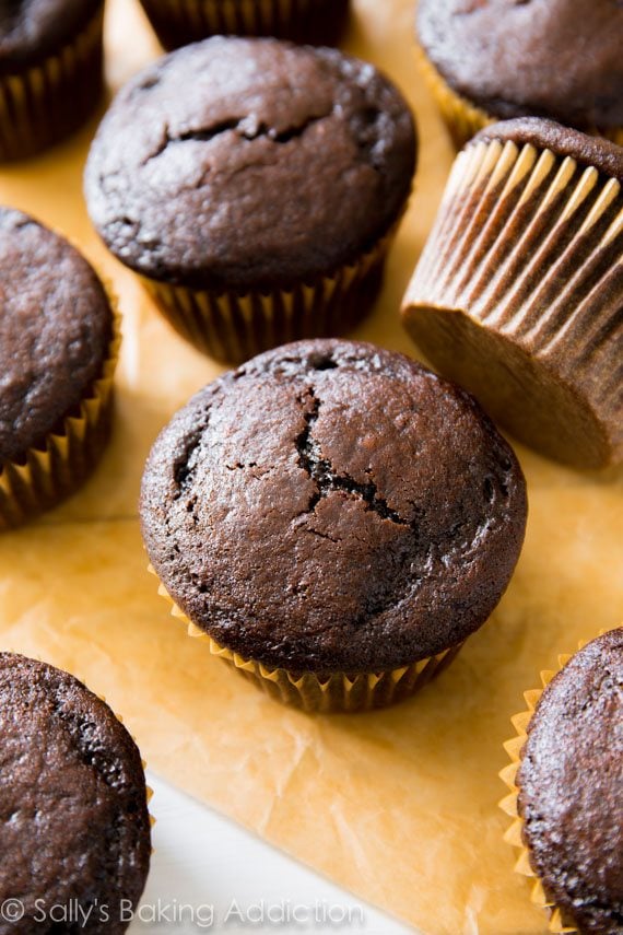 chocolate cupcakes without frosting