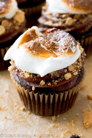 chocolate cupcakes topped with chocolate frosting, crushed graham crackers, and a toasted marshmallow