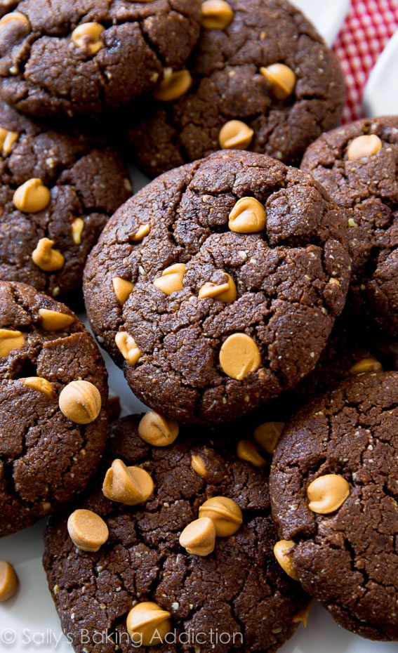 flourless peanut butter brownie cookies
