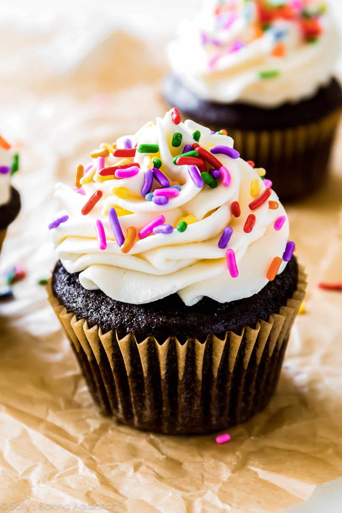 chocolate cupcake with vanilla frosting and rainbow sprinkles