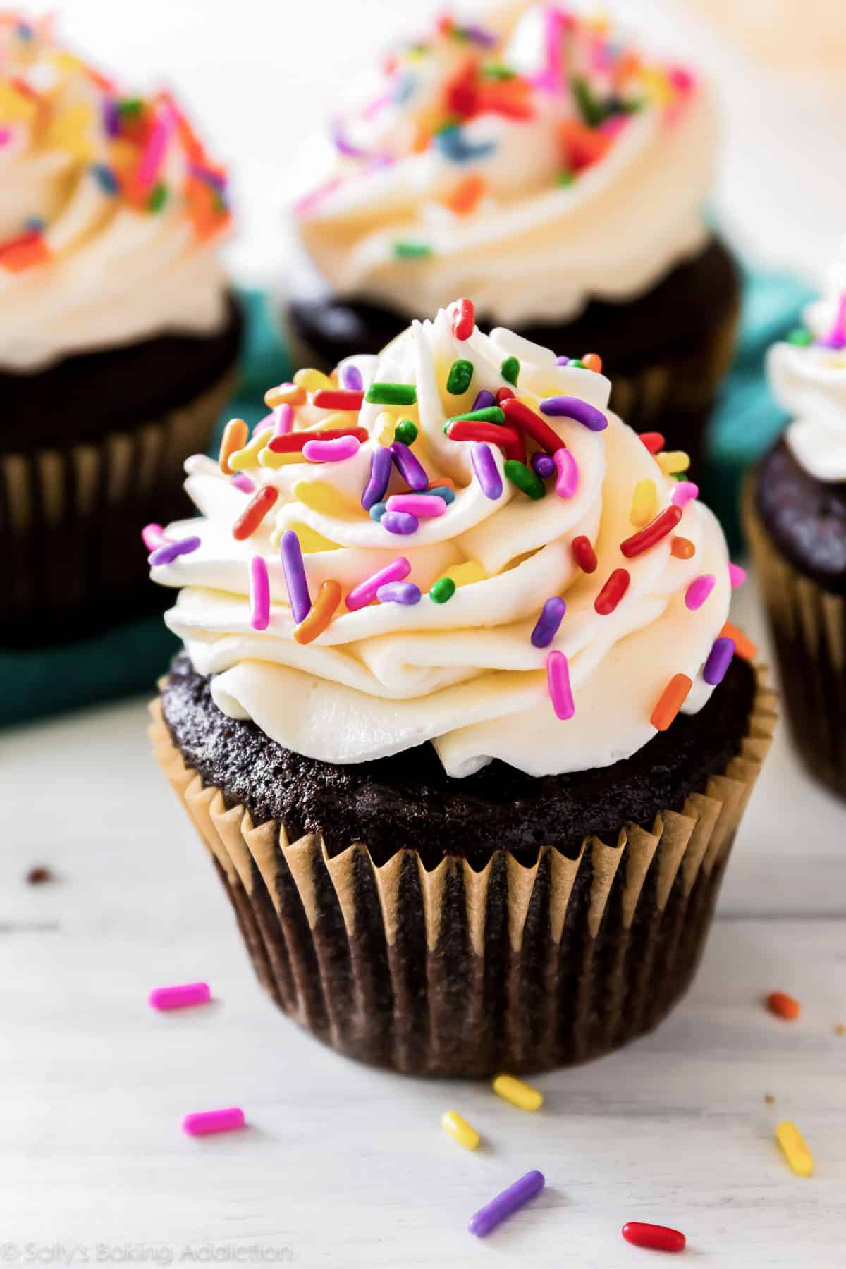 chocolate cupcakes with vanilla frosting and rainbow sprinkles