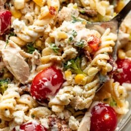 close up of creamy pasta salad with chicken and cherry tomatoes.