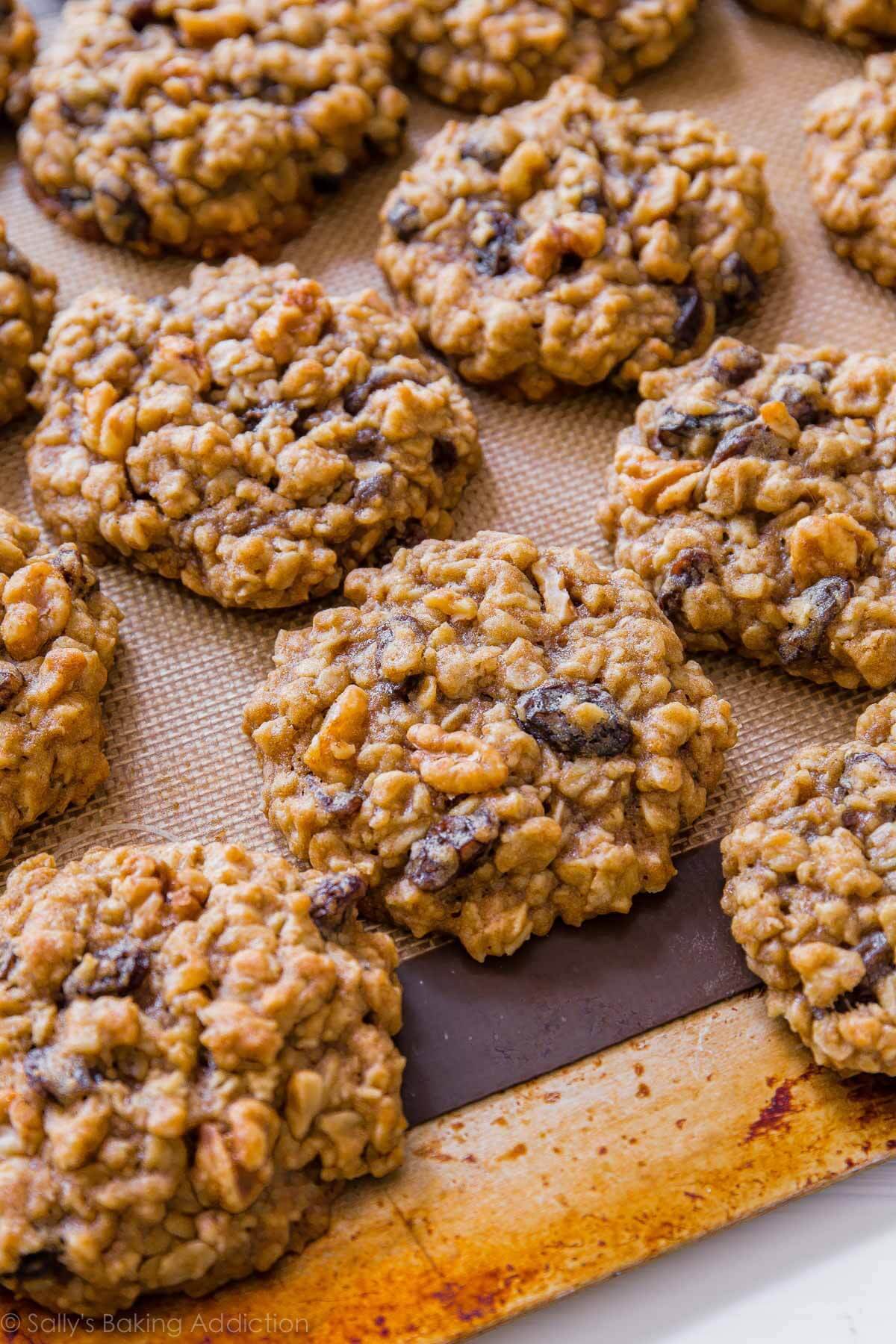 oatmeal raisin cookies on a baking sheet