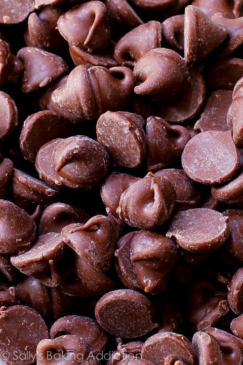 zoomed in image of chocolate chips