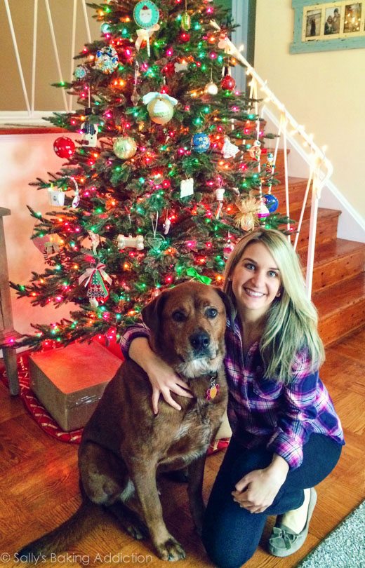 jude dog and sally in front of christmas tree