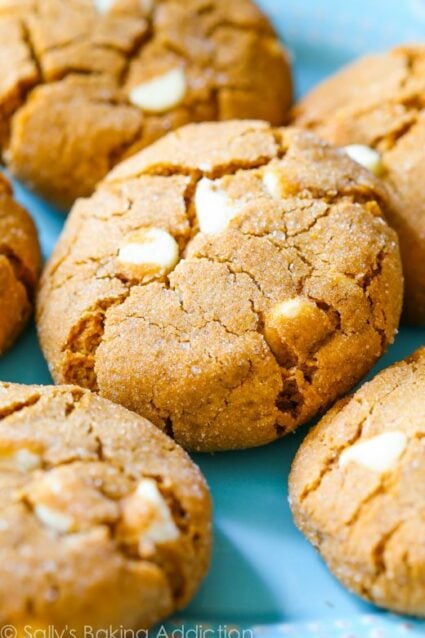 Soft White Chocolate Chip Molasses Cookies