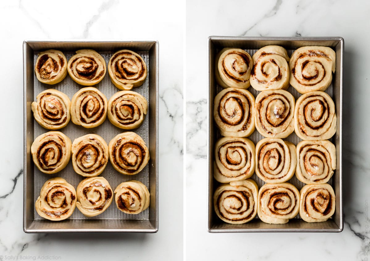 shaped cinnamon rolls before and after rising
