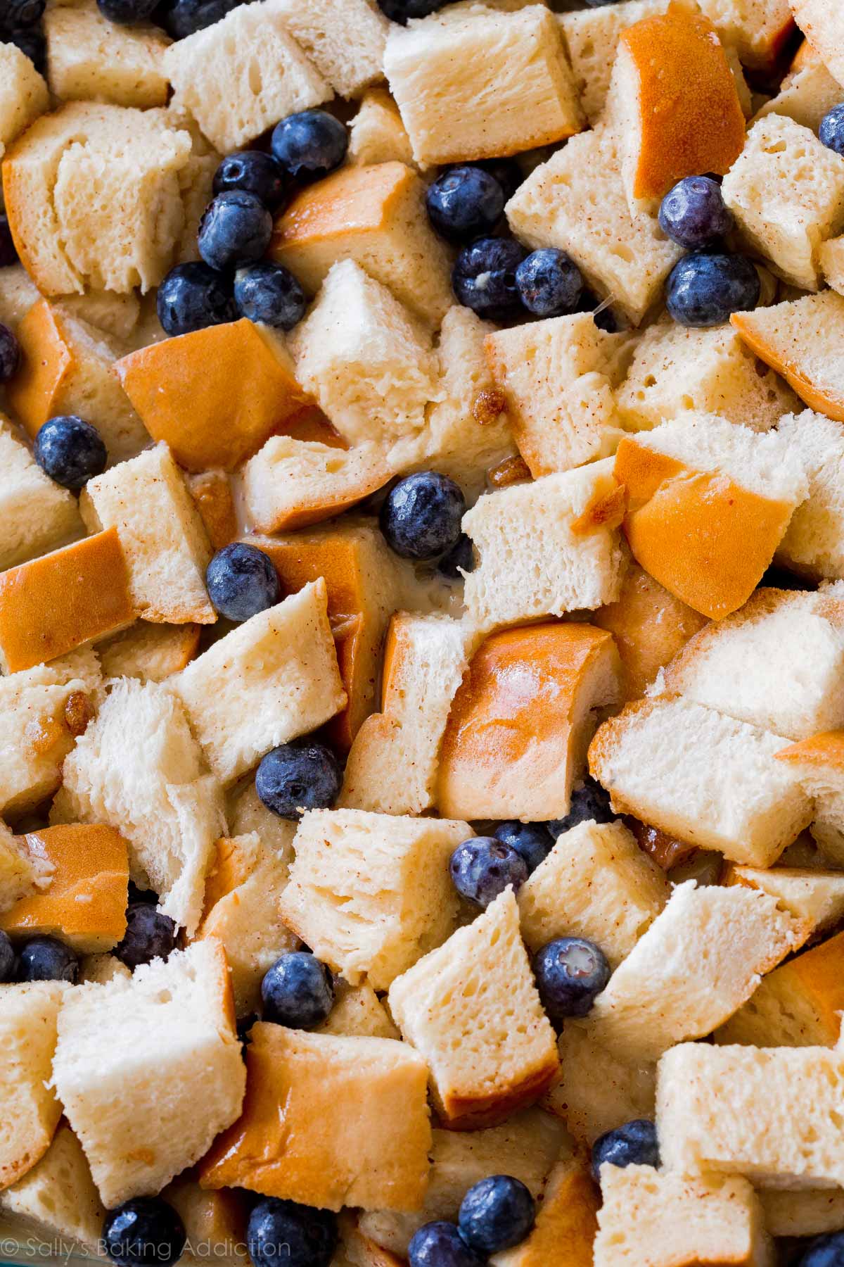 zoomed in image of bread and blueberries