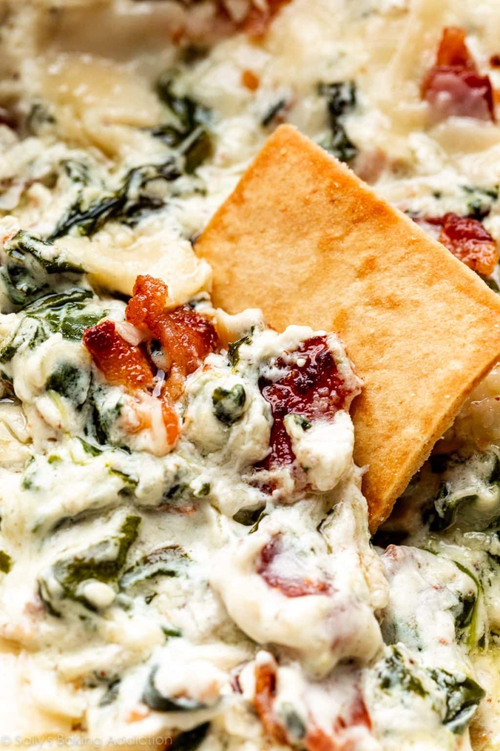 Garlic & Bacon Spinach Dip Sally's Baking Addiction