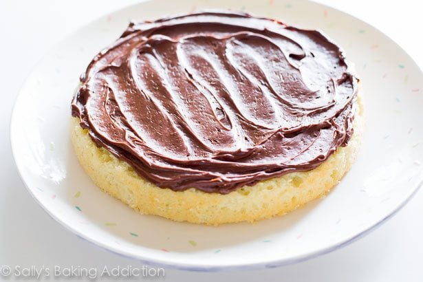 layer of cake on a white serving plate with chocolate frosting on top
