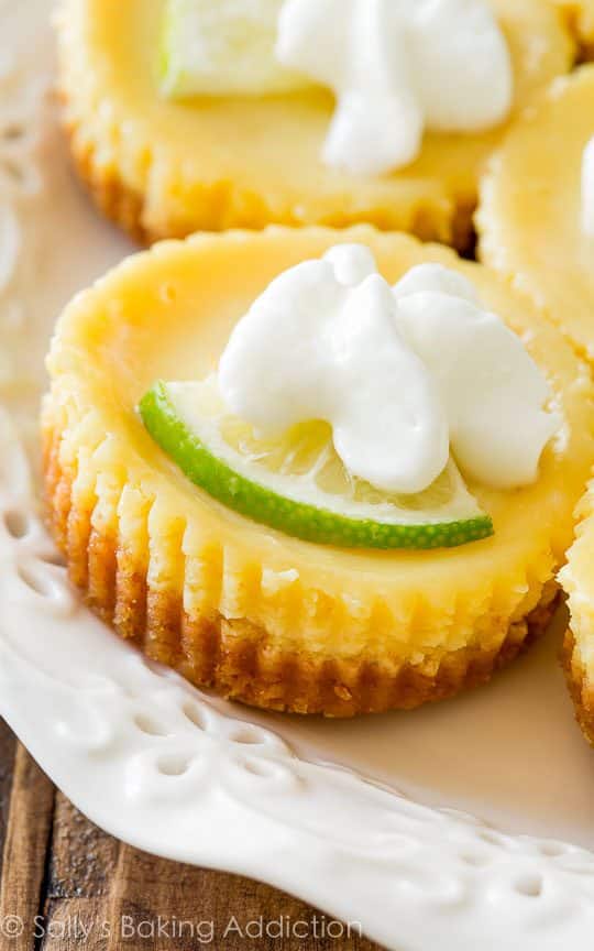 mini key lime pies topped with whipped cream on a white serving plate
