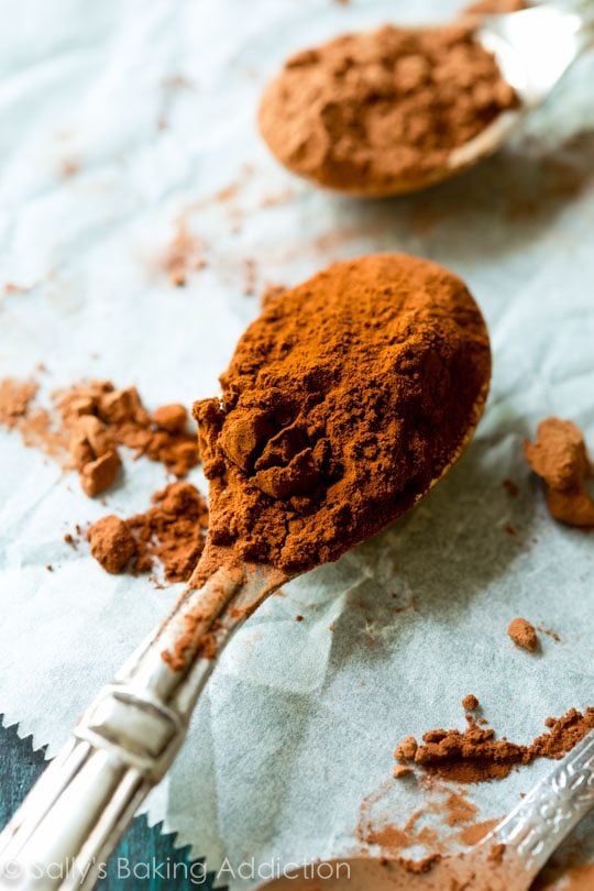 a spoonful of cocoa powder