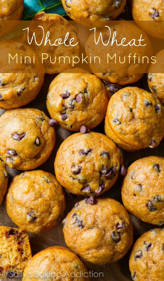 mini pumpkin chocolate chip muffins