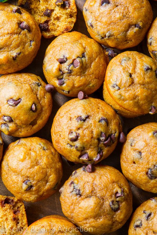 overhead image of mini pumpkin chocolate chip muffins