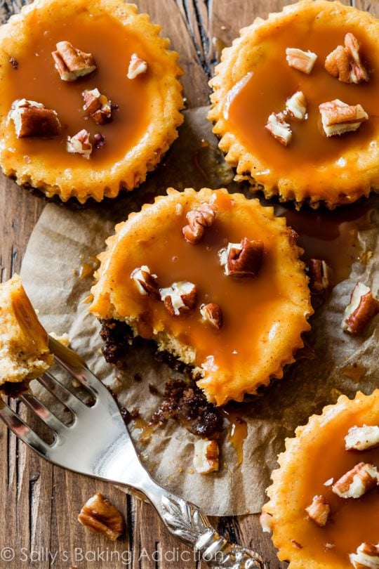 salted caramel pumpkin cheesecakes with a fork