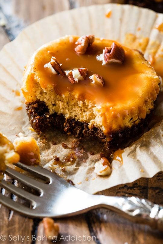 salted caramel pumpkin cheesecake with a fork