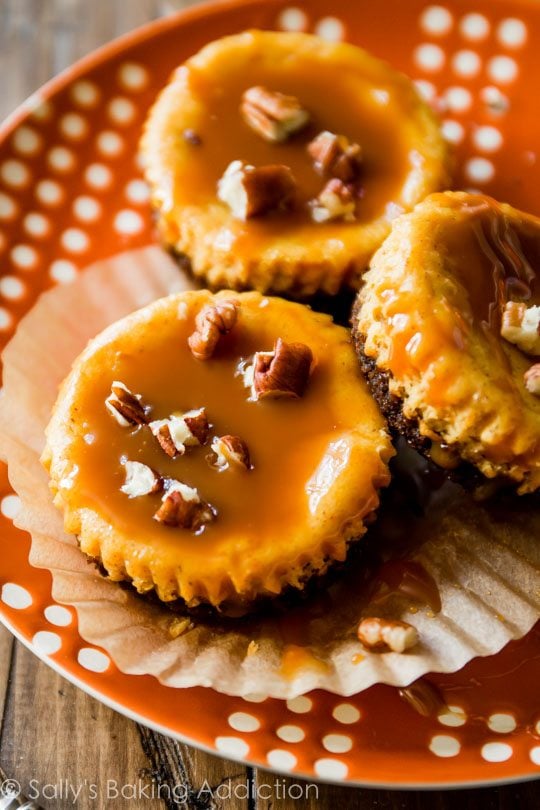 salted caramel pumpkin cheesecakes on an orange and white plate