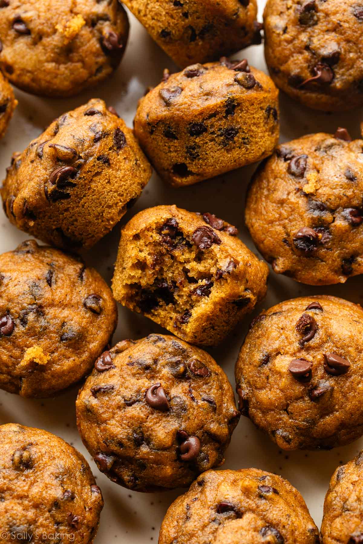 mini pumpkin chocolate chip muffins.