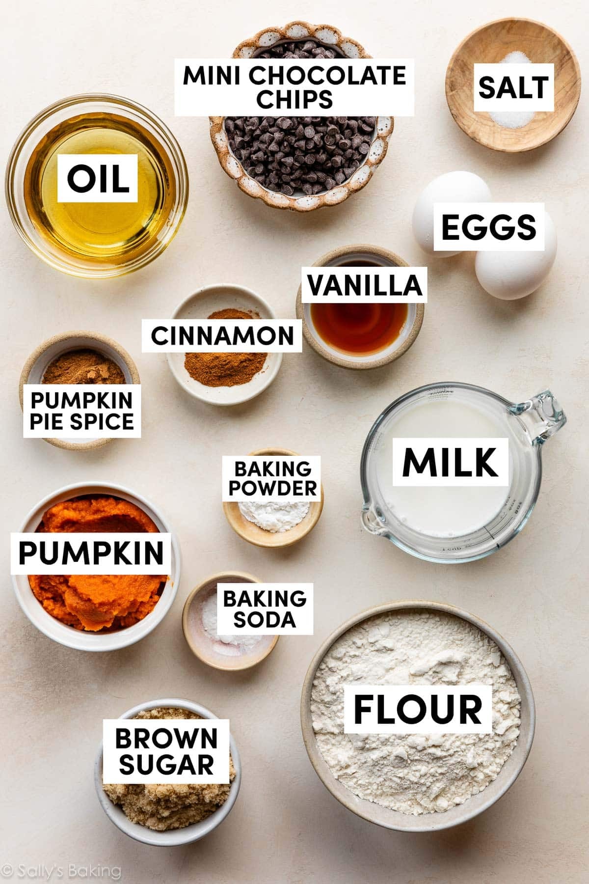 ingredients in bowls including oil, salt, eggs, vanilla, milk, and flour.