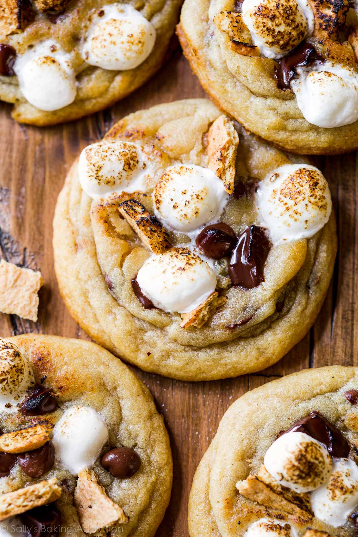 toasted s'mores chocolate chip cookies