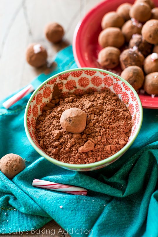 chocolate peppermint truffle in a bowl of cocoa powder for coating
