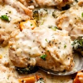 close-up of creamy garlic chicken with broccoli and butternut squash.