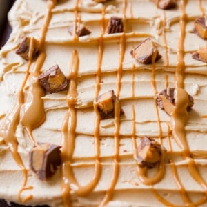chocolate sheet cake topped with peanut butter frosting, drizzle of melted peanut butter, and peanut butter cups