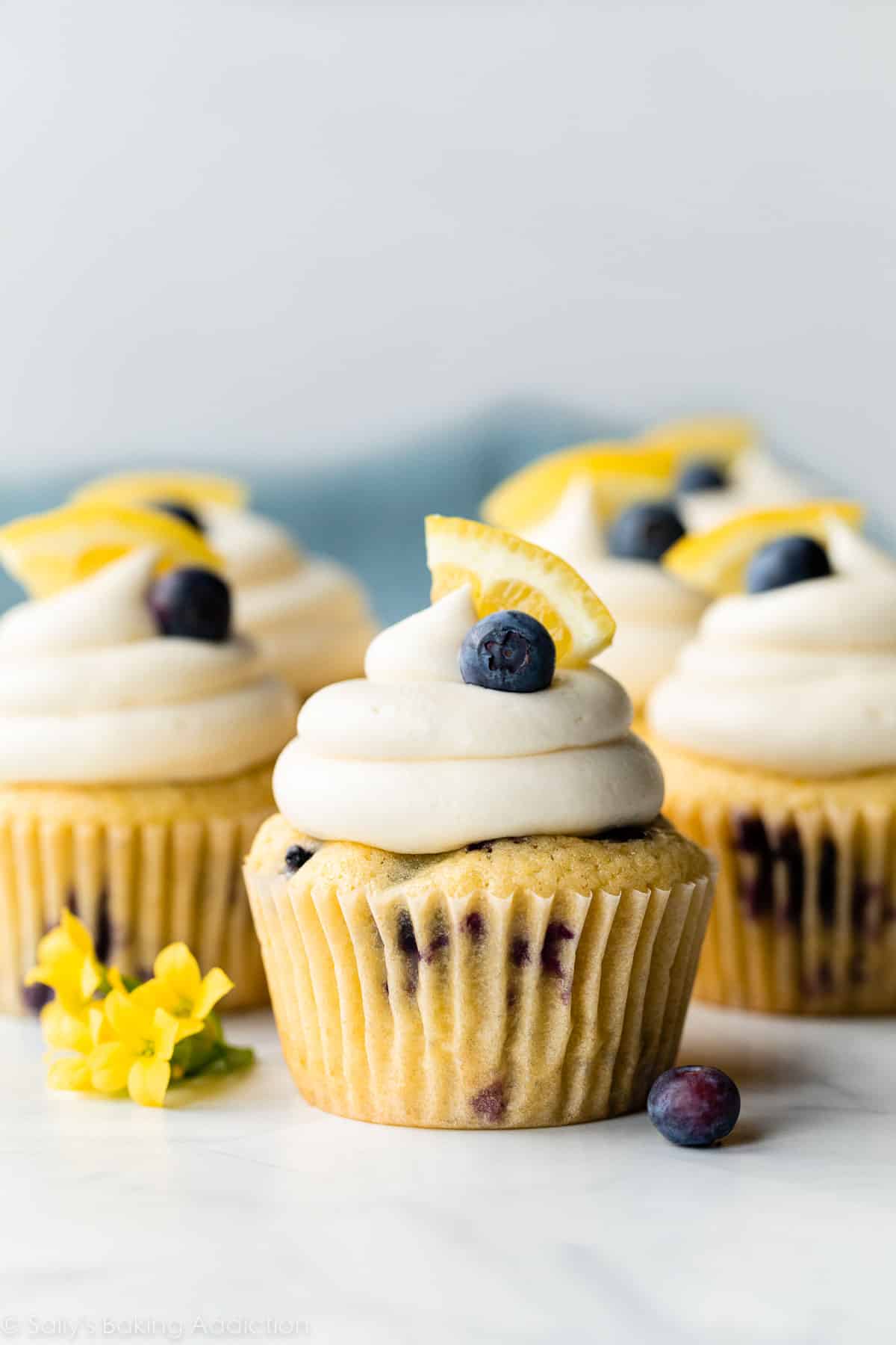 lemon blueberry cupcakes decorated with cream cheese frosting, a blueberry, and lemon slice.