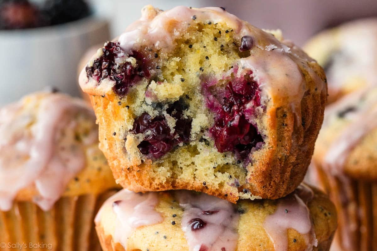 Blackberry Lemon Poppy Seed Muffins