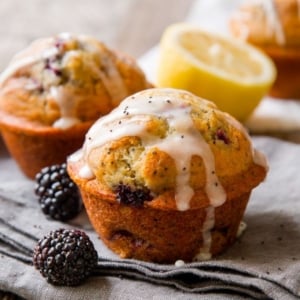 blackberry lemon poppy seed muffins