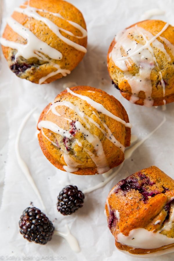 blackberry lemon poppy seed muffins