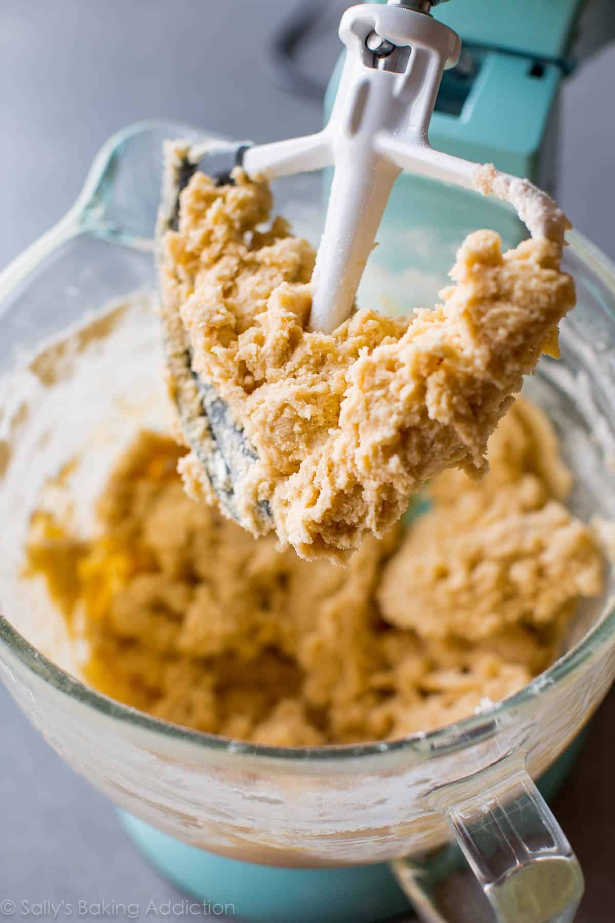 snickerdoodle cookie dough in a glass stand mixer bowl with the paddle attachment