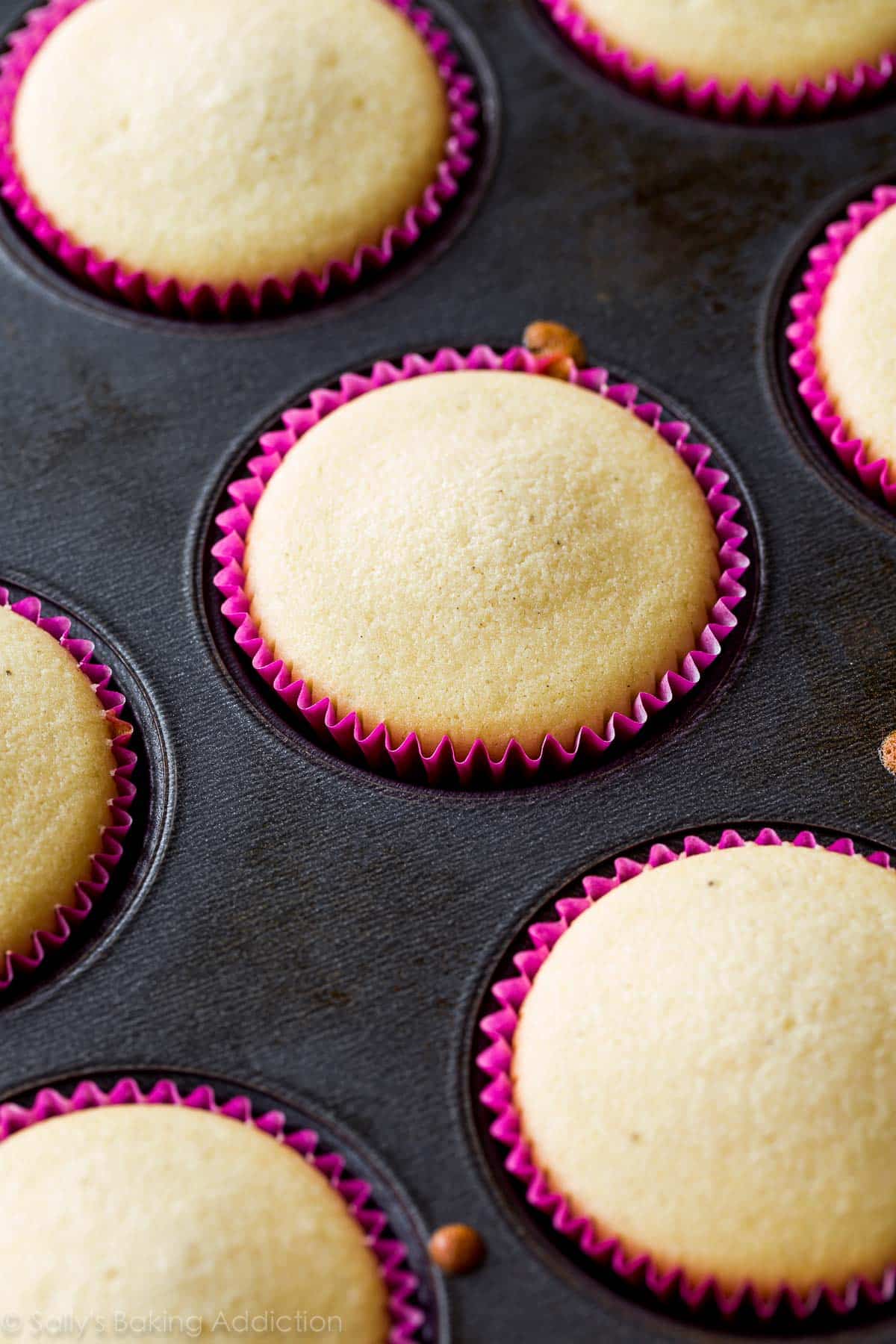vanilla cupcakes in a cupcake pan after baking