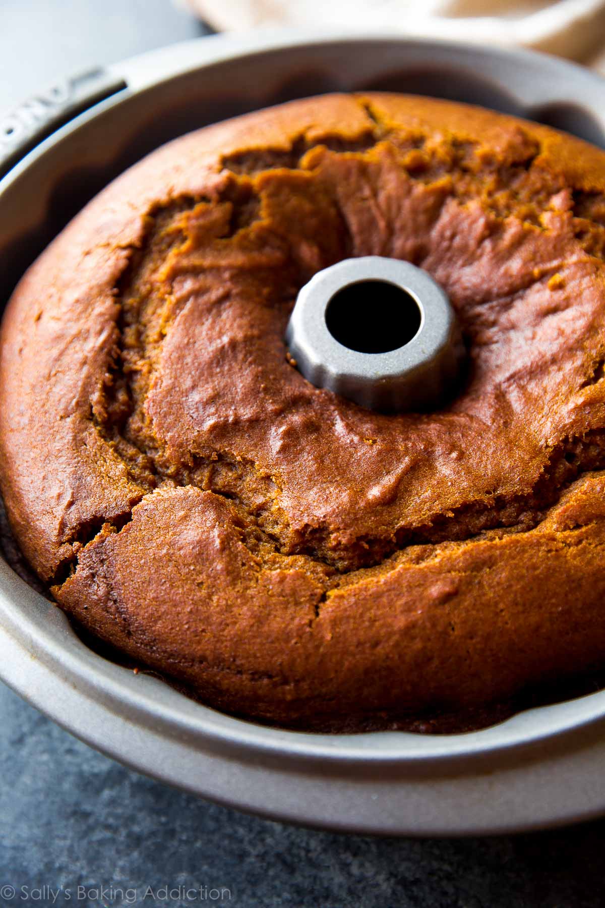 pumpkin cream cheese bundt cake in a bundt pan after baking
