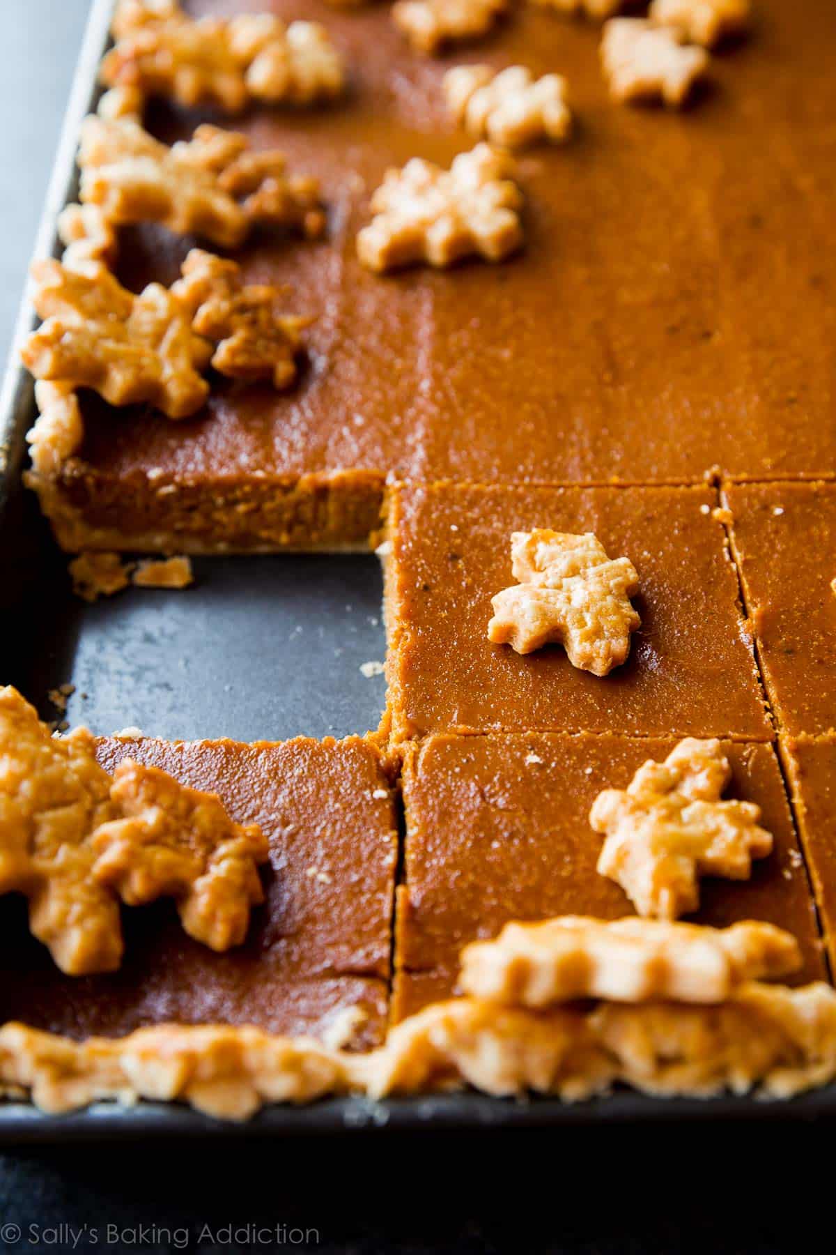pumpkin slab pie cut into squares with one square missing