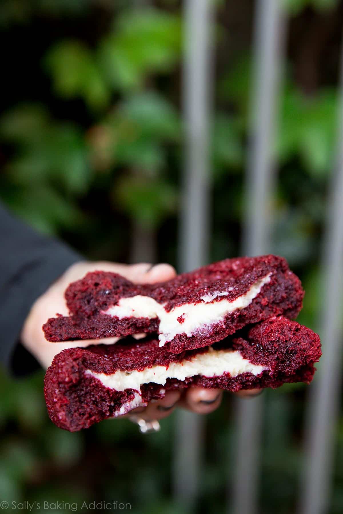 hand holding a red velvet cookie stuffed with cream cheese filling