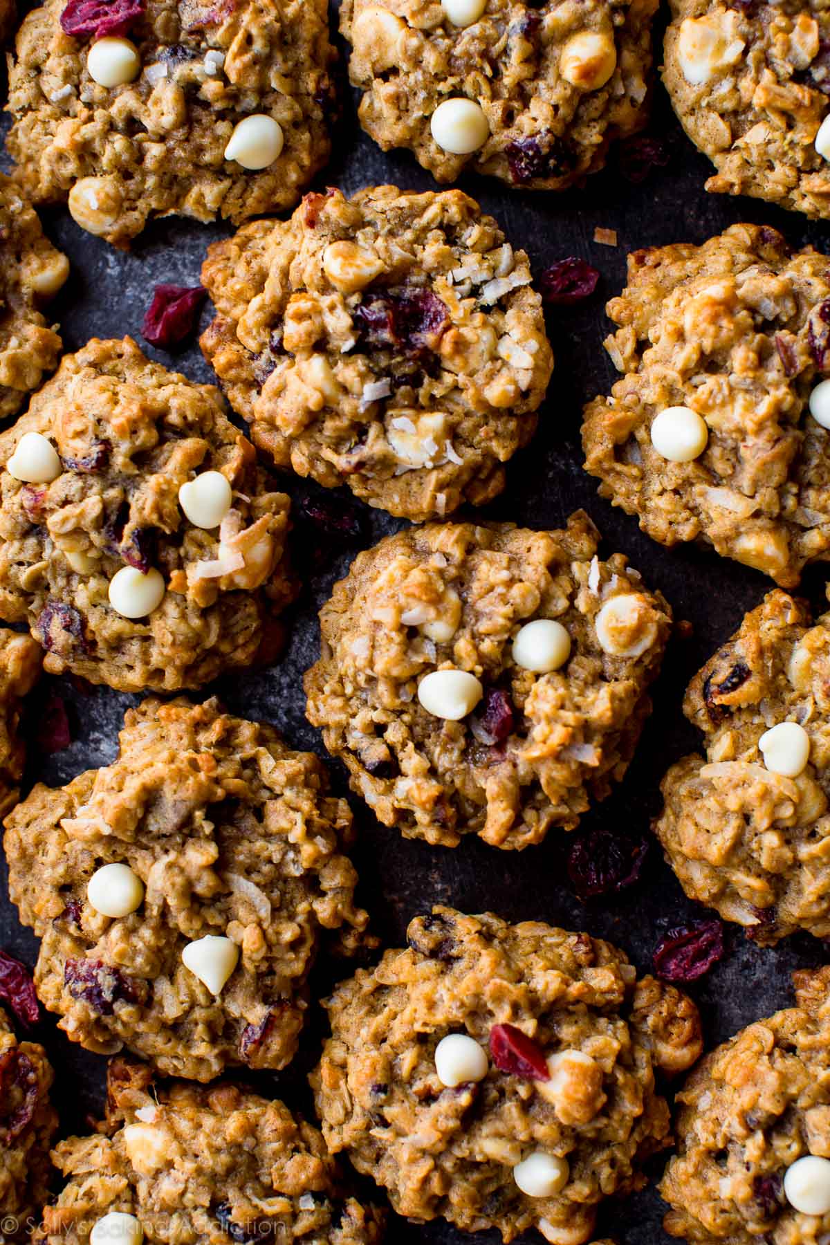 overhead image of white chocolate cranberry coconut pecan oatmeal cookies