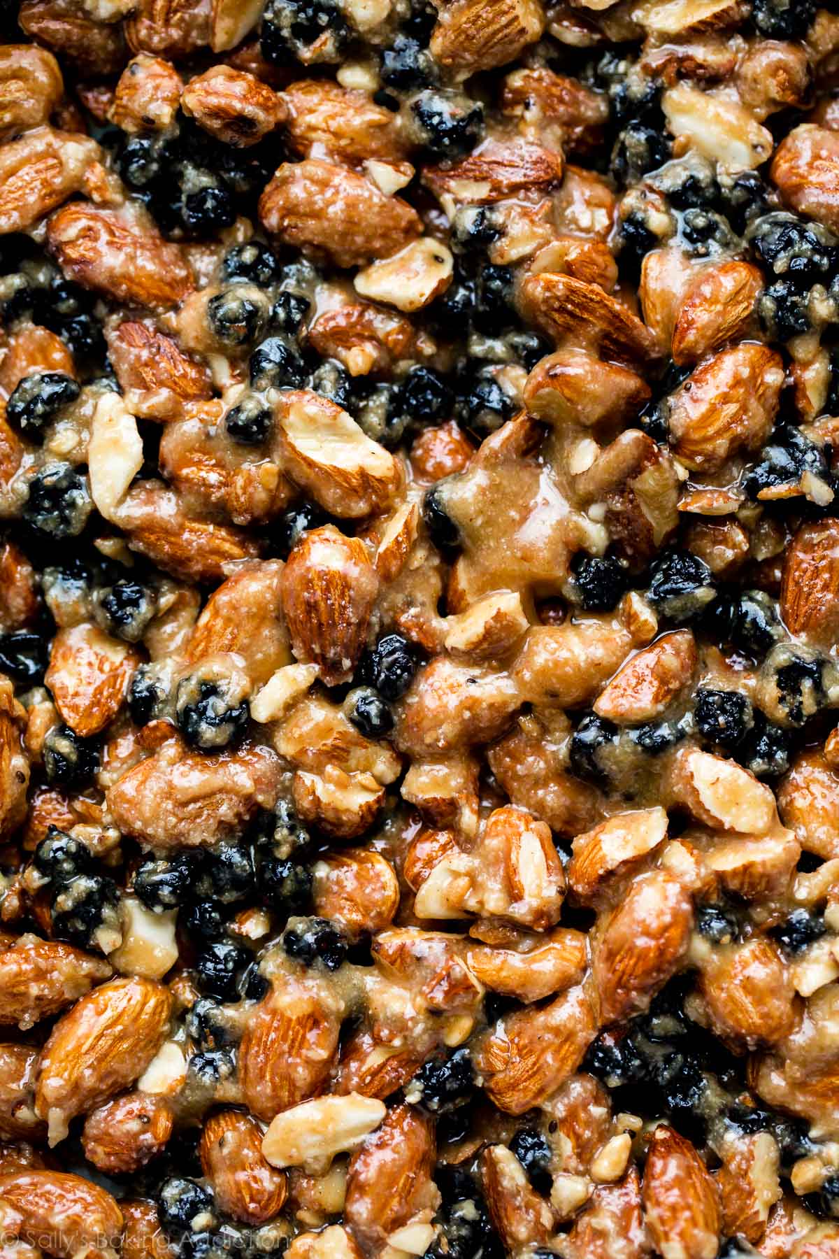 zoomed in image of blueberry almond snack bars before cutting