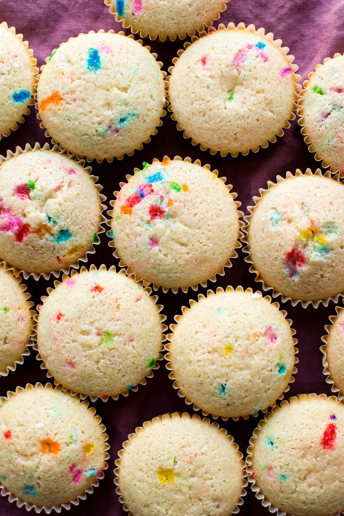 overhead image of funfetti cupcakes without frosting