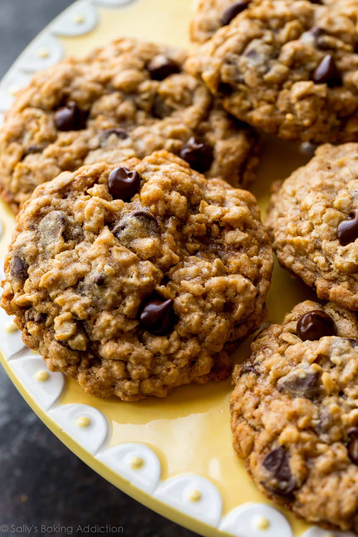 oatmeal chocolate chip cookies on a yellow and white plate