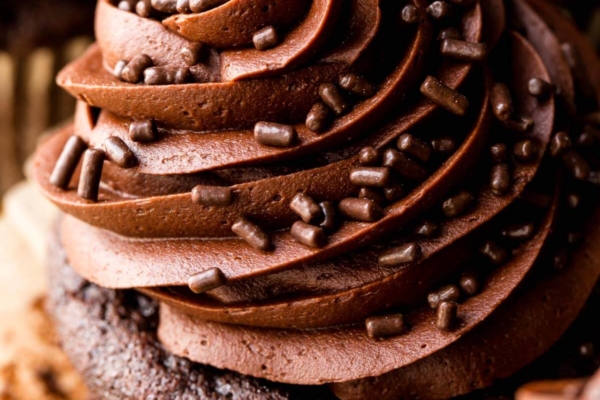 Chocolate cupcake topped with chocolate buttercream and chocolate sprinkles