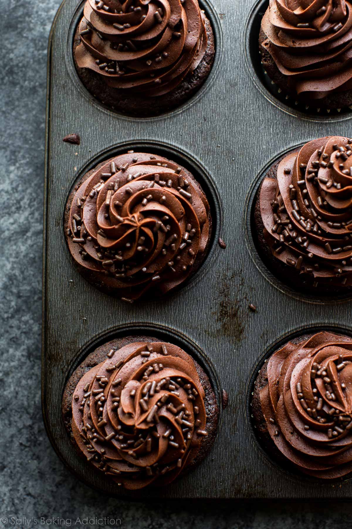 chocolate cupcakes in a cupcake pan topped with chocolate buttercream and chocolate sprinkles