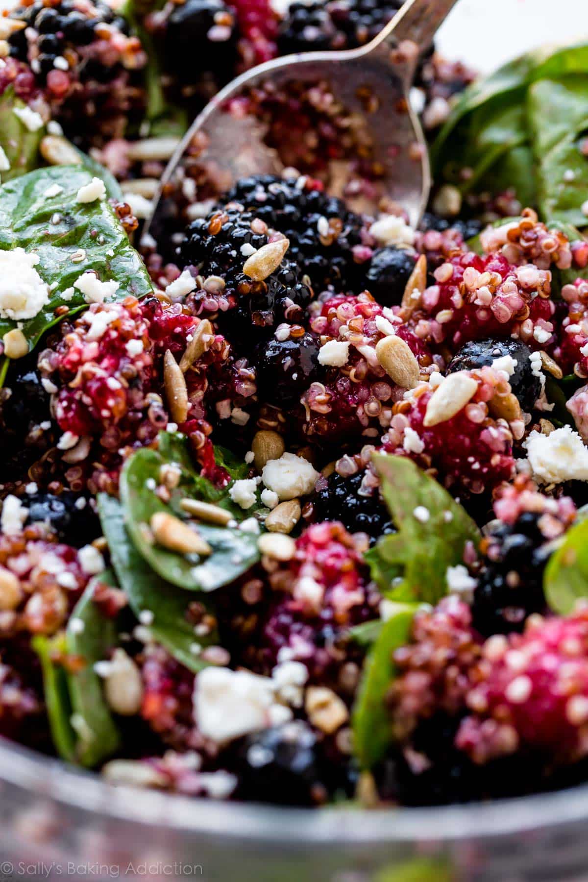 berry quinoa salad in a glass bowl