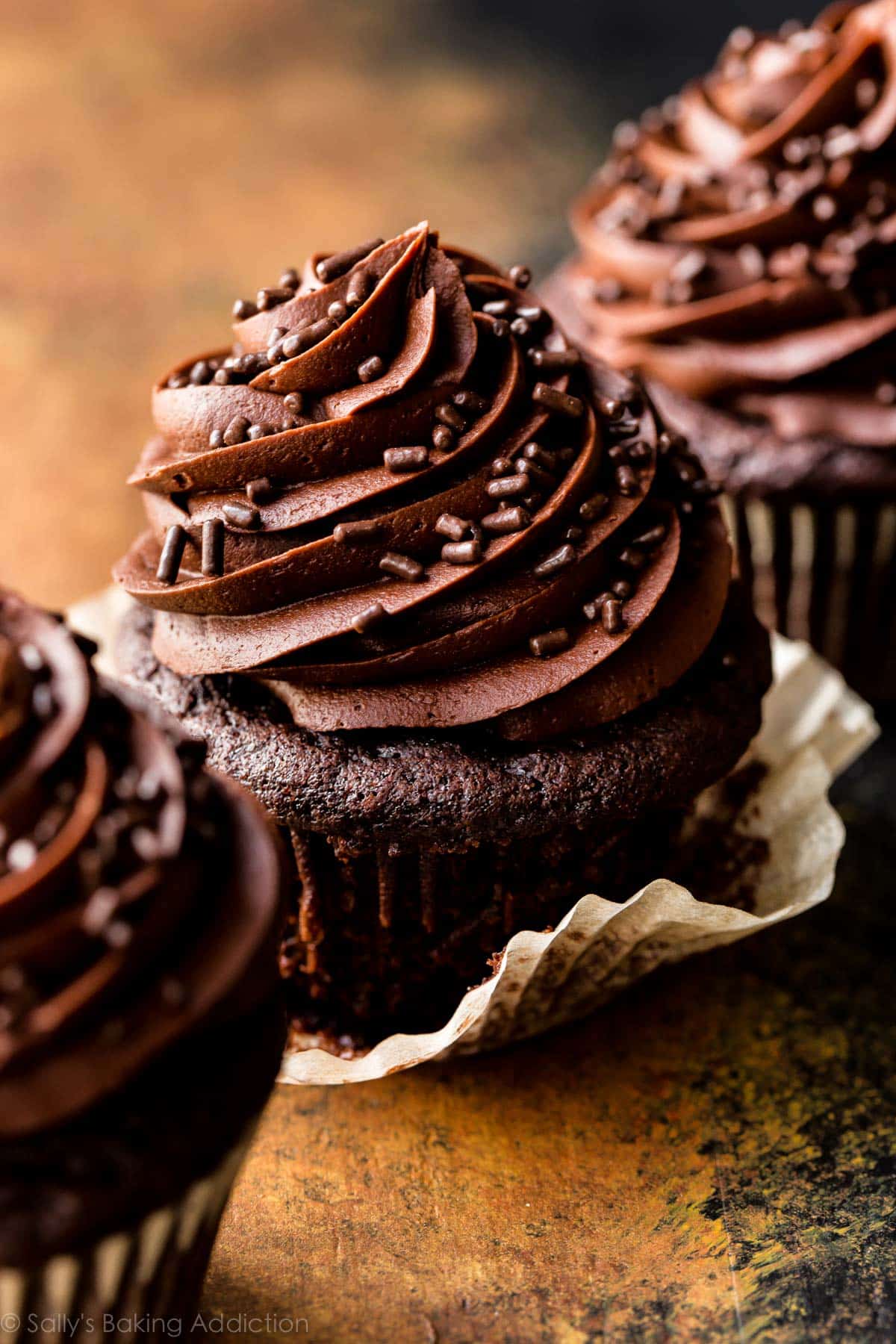 chocolate cupcakes topped with chocolate buttercream and chocolate sprinkles