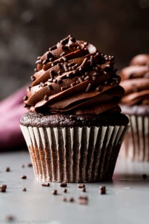 chocolate cupcake with chocolate buttercream and chocolate sprinkles