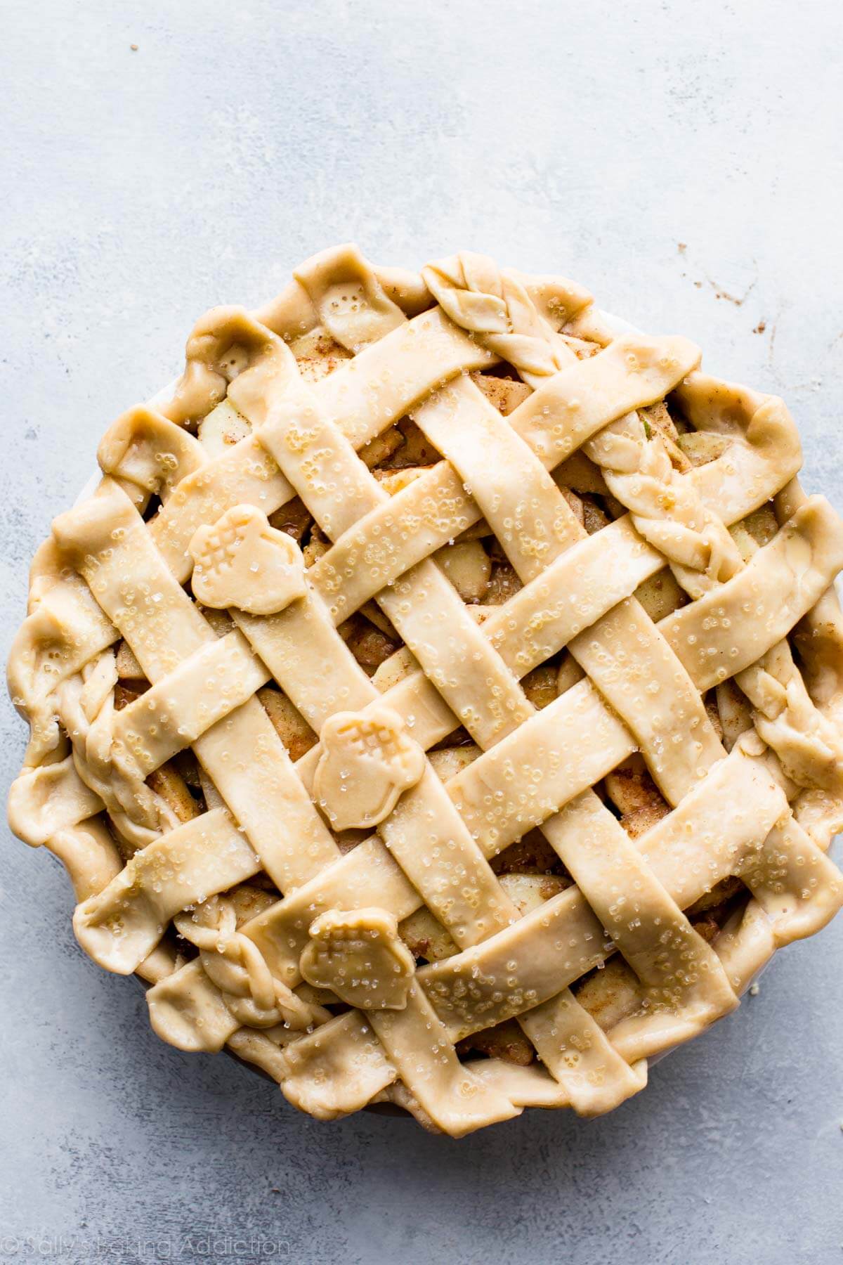 latticed pie crust dough with acorn pie crust shapes