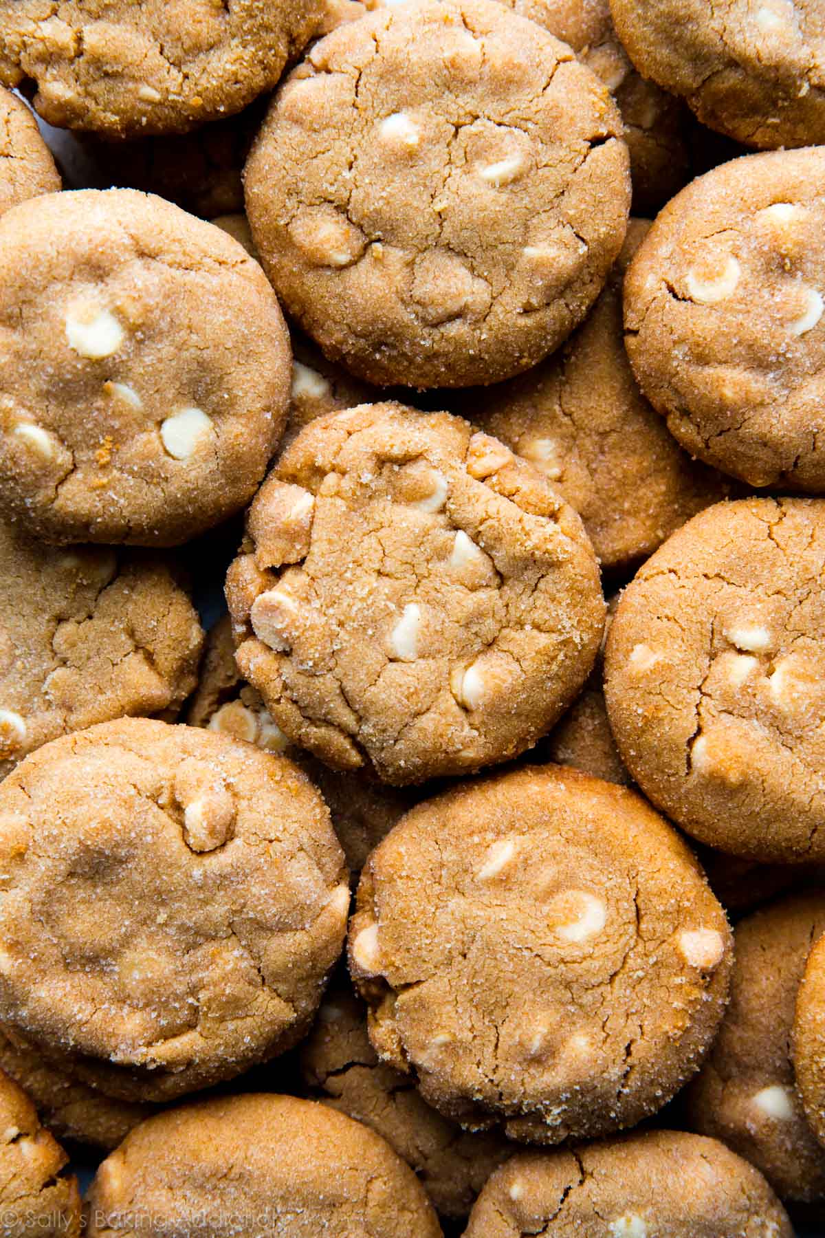 overhead image of white chocolate peanut butter cookies